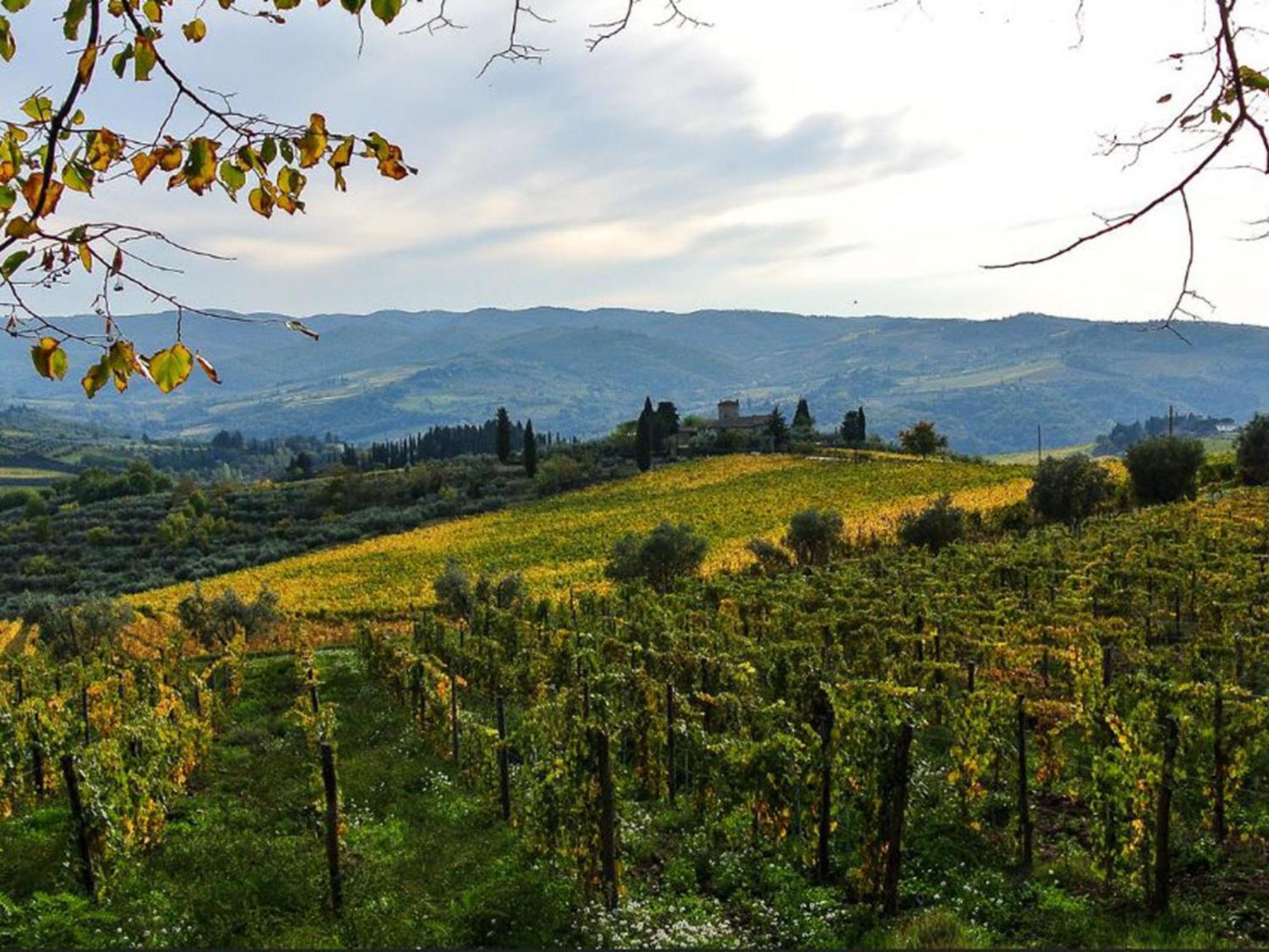 Holiday Home La Torre By Interhome Lucolena in Chianti Ngoại thất bức ảnh